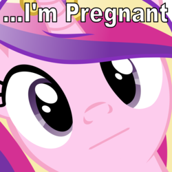 Size: 4800x4800 | Tagged: safe, edit, princess cadance, g4, :|, absurd resolution, and that's how flurry heart was made, awkward moment, caption, close-up, face, hi anon, hilarious in hindsight, image macro, looking at you, meme, pregnant