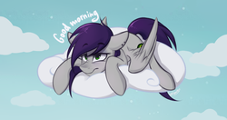 Size: 963x507 | Tagged: safe, artist:ask-dreamlight, oc, oc only, pegasus, pony, cloud, cloudy, solo