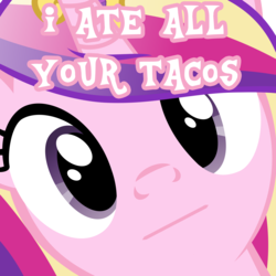 Size: 4800x4800 | Tagged: safe, edit, princess cadance, g4, :|, absurd resolution, close-up, everything is ruined, face, hi anon, image macro, looking at you, meme, pure unfiltered evil, sonata fuel, taco