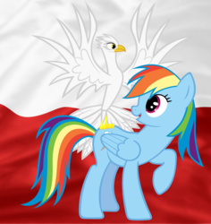 Size: 1800x1905 | Tagged: safe, artist:stabzor, rainbow dash, bird, eagle, pegasus, pony, g4, female, flag, mare, poland, polish