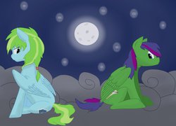 Size: 1024x738 | Tagged: safe, artist:cyrix-s, oc, oc only, pegasus, pony, cloud, female, full moon, male, mare, moon, night, stallion