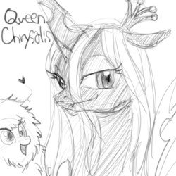 Size: 512x512 | Tagged: safe, queen chrysalis, oc, oc:fluffle puff, g4, bedroom eyes, canon x oc, fangs, female, lesbian, looking at you, monochrome, open mouth, ship:chrysipuff, shipping, sketch