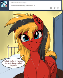 Size: 650x800 | Tagged: safe, artist:twotail813, oc, oc only, oc:twotail, pegasus, pony, rcf community, ask, bed, confused, cute, ear piercing, earring, frown, head tilt, helix piercing, jewelry, looking at you, piercing, solo, tumblr
