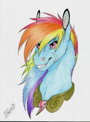 Size: 1024x1375 | Tagged: safe, artist:biakela, rainbow dash, g4, element of loyalty, female, fluffy, grin, scar, solo, traditional art