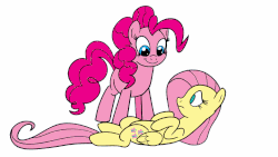 Size: 1280x720 | Tagged: safe, artist:thex-plotion, fluttershy, pinkie pie, earth pony, pegasus, pony, :t, animated, cute, daaaaaaaaaaaw, diapinkes, duo, duo female, female, frown, gif, giggling, hnnng, hoofy-kicks, laughing, looking down, mare, missing wing, no pupils, nose in the air, on back, open mouth, ponk, puffy cheeks, raspberry, shyabetes, simple background, smiling, sweet dreams fuel, tickling, tongue out, tummy buzz, weapons-grade cute, white background, wide eyes, youtube link