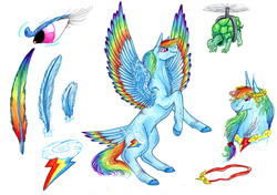 Size: 6664x4704 | Tagged: safe, artist:dawn22eagle, rainbow dash, tank, pegasus, pony, g4, absurd resolution, backwards cutie mark, colored wings, element of loyalty, multicolored wings, rainbow, rainbow feathers, rainbow wings, tail feathers, wings