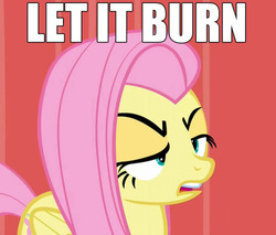 Size: 500x425 | Tagged: safe, screencap, fluttershy, g4, image macro, meme, rage