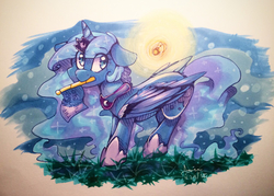 Size: 1280x918 | Tagged: safe, artist:y0wai, princess luna, firefly (insect), insect, g4, female, flag, floppy ears, mouth hold, solo, traditional art