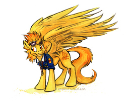 Size: 906x728 | Tagged: safe, artist:kenket, spitfire, g4, clothes, female, goggles, large wings, simple background, smirk, solo, spread wings, traditional art, whistle, whistle necklace, white background, wonderbolts, wonderbolts dress uniform