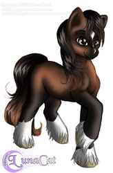 Size: 524x800 | Tagged: safe, artist:flyingpony, oc, oc only, solo