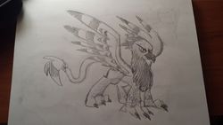 Size: 960x540 | Tagged: safe, artist:drawponies, oc, oc only, griffon, sketch, solo, traditional art