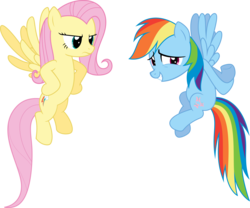 Size: 5027x4188 | Tagged: safe, artist:ispincharles, fluttershy, rainbow dash, pegasus, pony, g4, absurd resolution, duo, duo female, female, flying, mare, simple background, swapped cutie marks, transparent background, vector