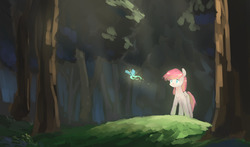 Size: 1280x751 | Tagged: safe, artist:siagia, oc, oc only, butterfly, earth pony, pony, fascinated, forest, glowing, looking at something, solo, wood