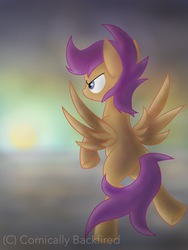 Size: 768x1024 | Tagged: safe, artist:comically backfired, scootaloo, g4, butt, female, flying, plot, solo, sunset