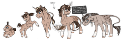 Size: 1600x563 | Tagged: safe, artist:royvdhel-art, oc, oc only, oc:rj, classical unicorn, pony, unicorn, :p, age progression, baby, baby pony, book, cloven hooves, earring, elder, female, filly, floppy ears, freckles, glowing, glowing horn, grin, horn, leonine tail, levitation, looking up, magic, mare, piercing, prone, rearing, simple background, smiling, story included, telekinesis, tongue out, tooth gap, unicorn oc, white background