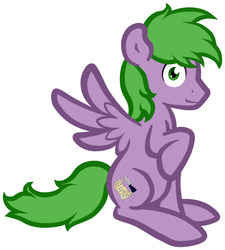 Size: 732x812 | Tagged: safe, artist:furrgroup, oc, oc only, pegasus, pony, simple background, solo, white background