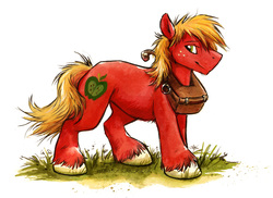 Size: 1042x758 | Tagged: safe, artist:kenket, big macintosh, earth pony, pony, g4, big hooves, horse collar, male, simple background, solo, stallion, traditional art