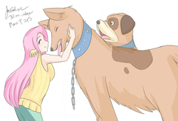 Size: 1280x869 | Tagged: safe, artist:jonfawkes, fluttershy, dog, human, orthros, g4, 30 minute art challenge, humanized, multiple heads, two heads, wing ears