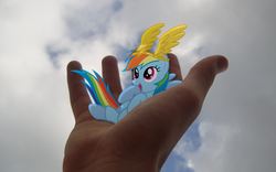 Size: 1920x1200 | Tagged: safe, artist:bryal, rainbow dash, g4, hand, irl, photo, ponies in real life, tiny ponies