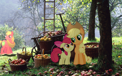 Size: 1920x1200 | Tagged: safe, artist:bryal, apple bloom, applejack, big macintosh, earth pony, pony, g4, apple, apple tree, basket, irl, male, photo, ponies in real life, stallion, tree