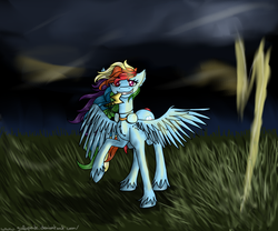 Size: 2376x1980 | Tagged: safe, artist:galopade, rainbow dash, pony, g4, female, solo