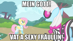 Size: 981x550 | Tagged: safe, screencap, fluttershy, photo finish, earth pony, pegasus, pony, g4, accent, denglisch, female, german, image macro, impact font, mare, meme, photo finish insults, technically an upskirt shot