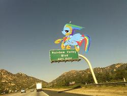 Size: 575x432 | Tagged: safe, rainbow dash, g4, clothes, dress, driving, gala dress, irl, photo, sign