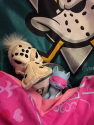 Size: 960x1280 | Tagged: safe, anaheim ducks, bootleg, concerned pony, irl, mighty ducks, photo, plushie, sleep mask, sleeping, the mighty ducks of anaheim, toy, wild wing, wildwing