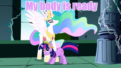 Size: 640x360 | Tagged: safe, edit, edited screencap, screencap, princess celestia, twilight sparkle, alicorn, pony, unicorn, g4, caption, female, image macro, mare, meme, my body is ready, purple text