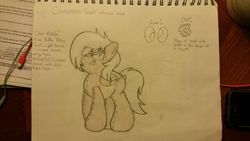 Size: 1456x819 | Tagged: safe, artist:dorky-oreo-pone, oc, oc only, oc:cinnamon toast, original species, plush pony, solo