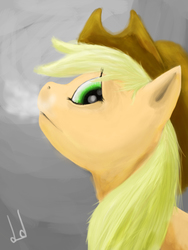 Size: 600x800 | Tagged: safe, artist:dogduck, applejack, g4, breath, female, solo