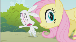 Size: 1280x720 | Tagged: safe, artist:anonymous, edit, edited screencap, screencap, angel bunny, fluttershy, dragonshy, g4, duo, great moments in animation, lol, smear frame