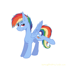 Size: 1024x1024 | Tagged: dead source, safe, artist:suenden-hund, rainbow dash, pegasus, pony, g4, concave belly, fluffy, rainbow blitz, ribcage, rule 63, simple background, slender, solo, standing, thin, transparent background