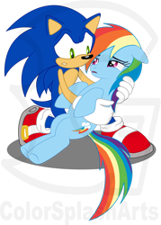 Size: 2072x2895 | Tagged: safe, artist:colorsplasharts, rainbow dash, pony, g4, crossover, crossover shipping, dying, female, high res, interspecies, male, sad, shipping, sonic the hedgehog, sonic the hedgehog (series), sonicdash, straight, watermark