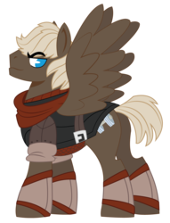 Size: 1040x1361 | Tagged: safe, artist:dbkit, dumbbell, pegasus, pony, g4, armor, clothes, male, scarf, simple background, solo, stallion, transparent background, tumblr