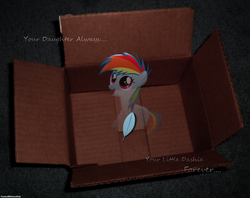 Size: 1281x1013 | Tagged: dead source, safe, artist:capt-nemo, artist:ponieswithcarsrule, artist:yourfavoritesenpai, rainbow dash, fanfic:my little dashie, g4, cardboard box, feather, filly rainbow dash, ghostly, irl, looking up, open mouth, photo, ponies in real life, quote, reference, right in the feels, sitting, smiling, solo, vector