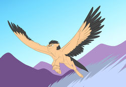 Size: 1280x880 | Tagged: safe, artist:foxenawolf, oc, oc only, oc:playbitz, pegasus, pony, flying, gliding, large wings, pegasus posse