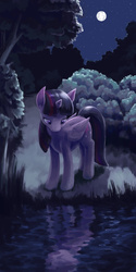 Size: 1200x2400 | Tagged: safe, artist:dahtamnay, twilight sparkle, alicorn, pony, g4, female, mare, moon, night, reflection, scenery, solo, twilight sparkle (alicorn), water