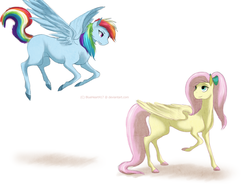 Size: 1024x761 | Tagged: safe, artist:blueheart417, fluttershy, rainbow dash, g4, blank flank, younger