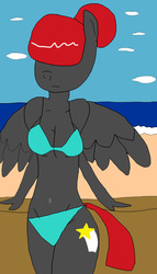 Size: 714x1250 | Tagged: safe, artist:prince areo, oc, oc only, pegasus, anthro, beach, bikini, clothes, flash star, swimsuit