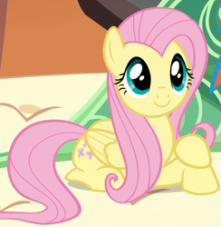 Size: 532x546 | Tagged: safe, screencap, fluttershy, pegasus, pony, g4, trade ya!, cute, female, mare, shyabetes