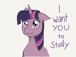 Size: 1024x768 | Tagged: safe, artist:theirene, twilight sparkle, g4, female, looking at you, solo