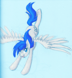 Size: 2376x2570 | Tagged: safe, artist:ashleynicholsart, oc, oc only, pegasus, pony, commission, solo