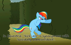 Size: 1139x720 | Tagged: safe, artist:insaneponythread, rainbow dash, g4, caption, insane pony thread