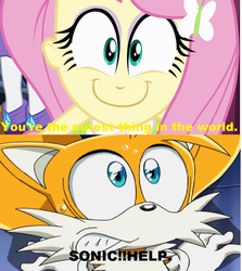 Size: 848x952 | Tagged: safe, edit, edited screencap, screencap, fluttershy, equestria girls, g4, my little pony equestria girls, copy and paste, crossover, face of mercy, happyshy, image macro, male, meme, miles "tails" prower, sonic the hedgehog (series)