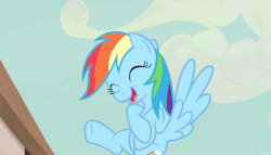 Size: 900x514 | Tagged: safe, screencap, rainbow dash, g4, the cutie map, amused, animated, female, flying, laughing, mocking
