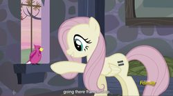 Size: 1278x713 | Tagged: safe, screencap, fluttershy, g4, the cutie map, meme, youtube caption