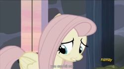 Size: 2560x1434 | Tagged: safe, screencap, fluttershy, g4, the cutie map, female, meme, solo, youtube caption