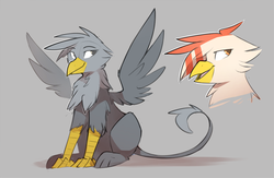 Size: 1280x832 | Tagged: safe, artist:glacierponi, oc, oc only, oc:glacier stripes, griffon, griffonized, species swap