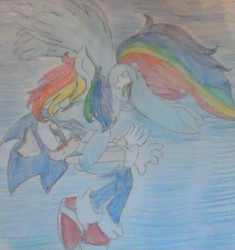 Size: 664x706 | Tagged: safe, artist:shadowthehedghog3, rainbow dash, g4, crossover, crossover shipping, female, male, photo, shipping, sonic the hedgehog, sonic the hedgehog (series), sonicdash, straight, traditional art